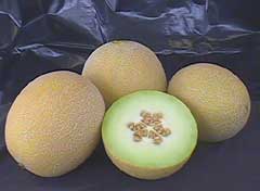 Melons